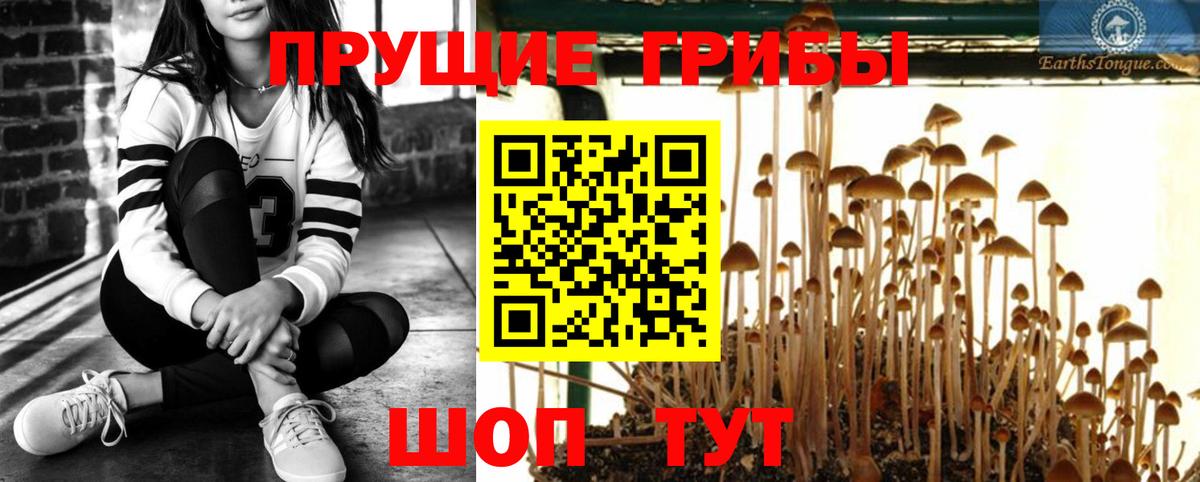 Галлюциногенные грибы мицелий Будённовск